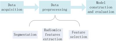 Dictionary learning LASSO for feature selection with application to hepatocellular carcinoma grading using contrast enhanced magnetic resonance imaging